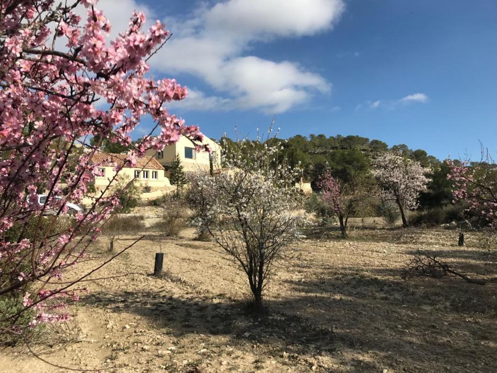 Finca Las Estrellas Relleu 外观 照片