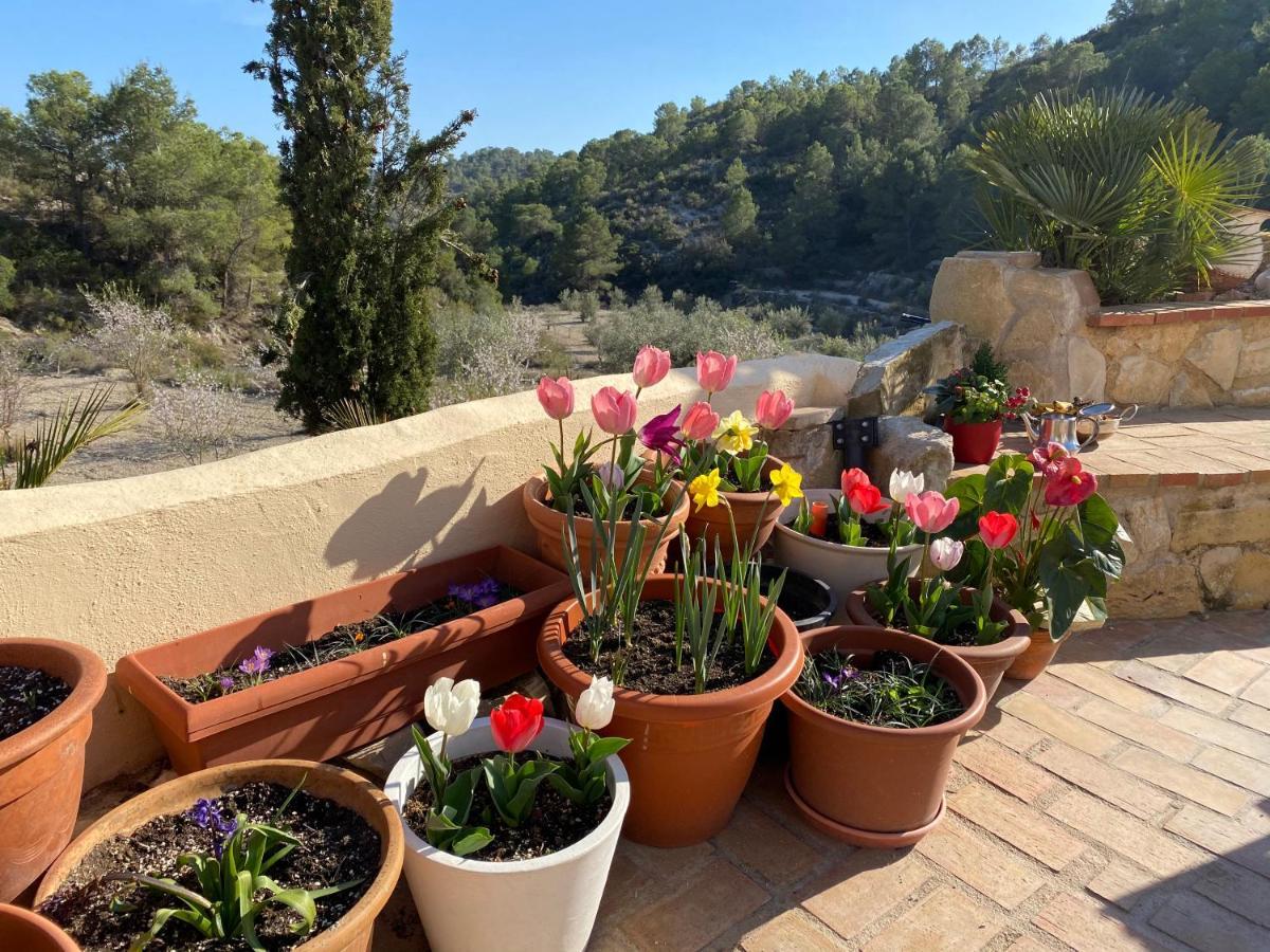Finca Las Estrellas Relleu 外观 照片