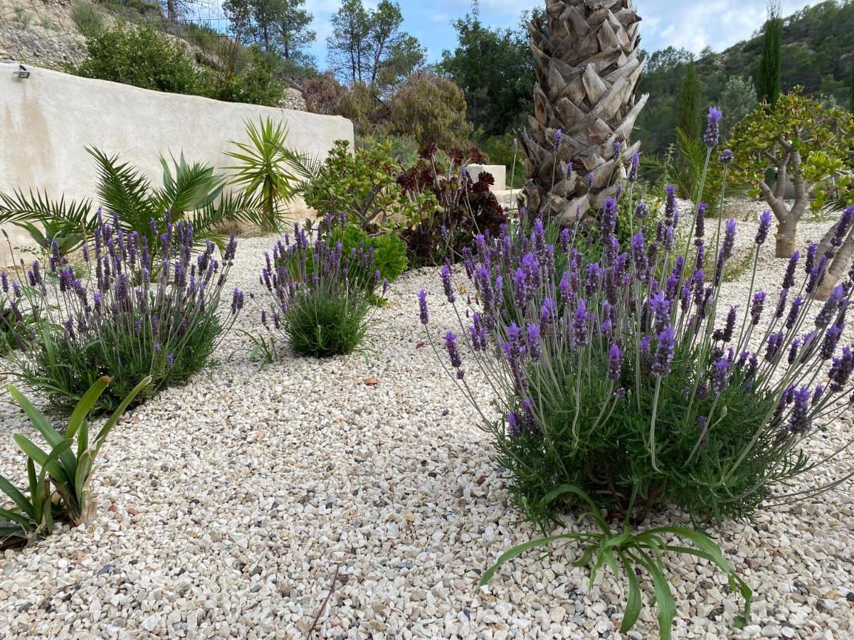 Finca Las Estrellas Relleu 外观 照片