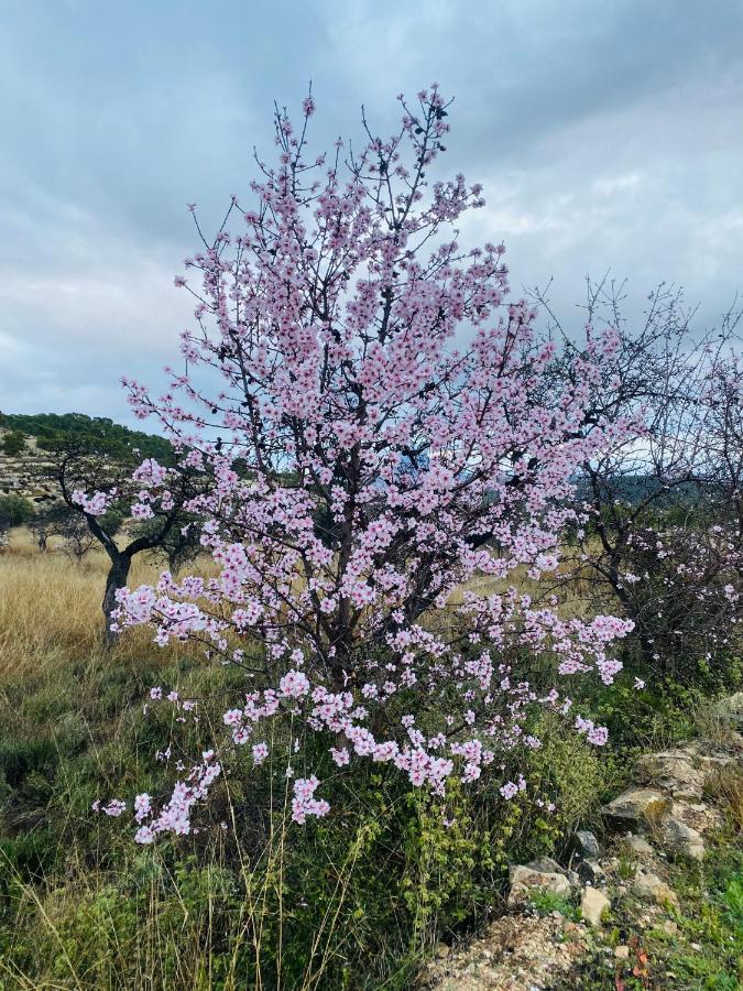 Finca Las Estrellas Relleu 外观 照片