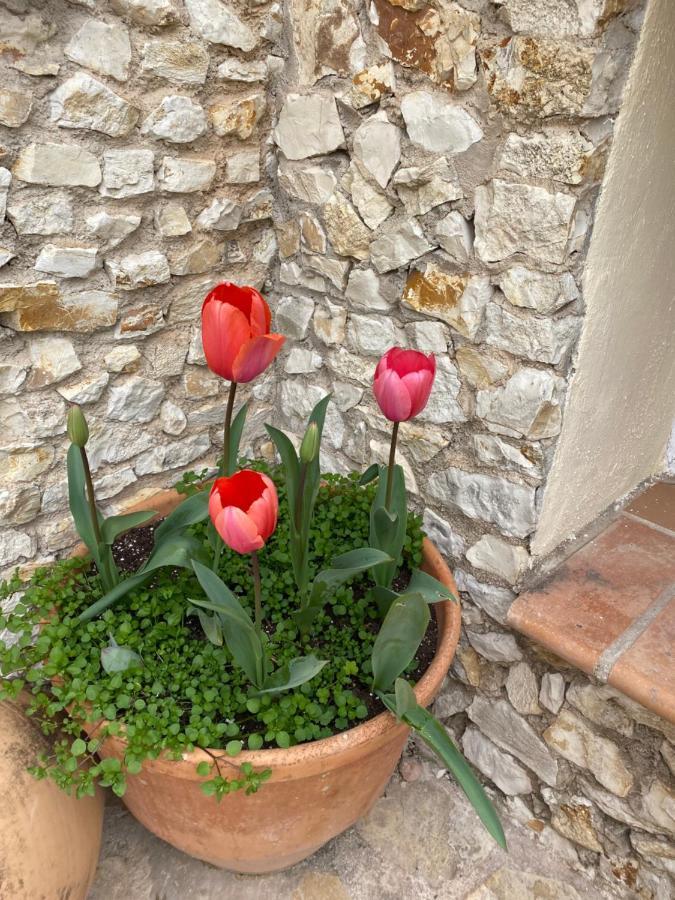 Finca Las Estrellas Relleu 外观 照片